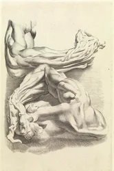 Muscles