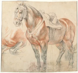 Cheval sellé