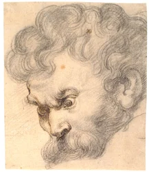 Étude de « Samson et le lion ». Le visage de Samson