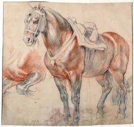Un cheval sellé