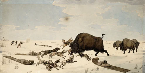 Chasse au bison, vers 1822-1824