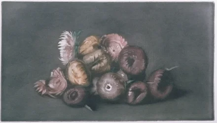 Nature morte de fleurs séchées