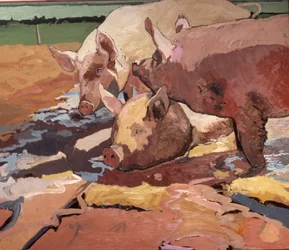 Des cochons au soleil et dans la boue