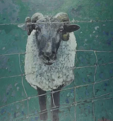 Brebis en attente, 2000 (huile sur toile)