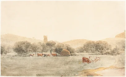 Un pré avec du bétail près de Glastonbury