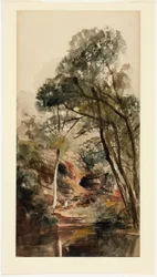 Paysage fluvial boisé