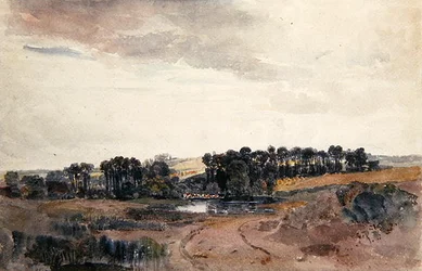 Paysage avec arbres et bovins près d