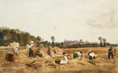 Champ de Blé, Windsor