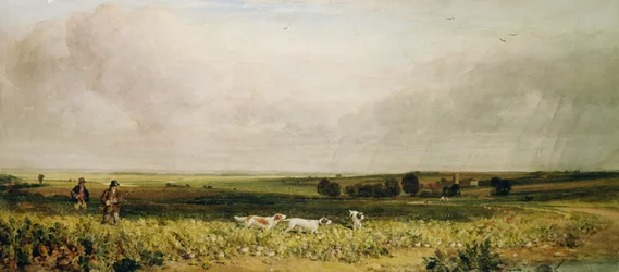 Chasse à la perdrix