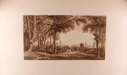 Vue d