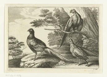 Trois faisans