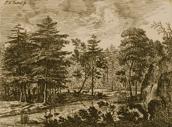 Paysage