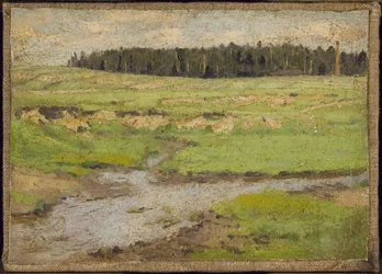 Paysage en été