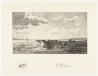 Bovins près d