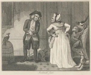 La Mégère et le Perroquet