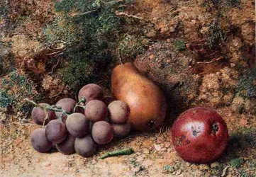 Raisins, pomme et poire sur une berge mousseuse