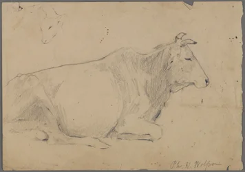 Taureau assis
