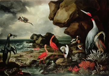 Un pingouin, une paire de flamants roses et d