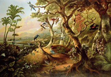 Oiseaux exotiques et insectes parmi les arbres et le feuillage dans un paysage fluvial montagneux