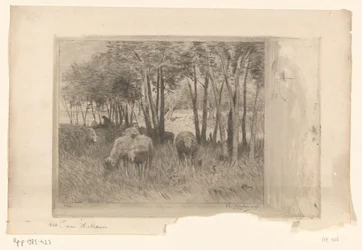 Troupeau de moutons et berger dans une prairie avec des arbres