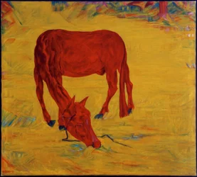 Cheval en liberté