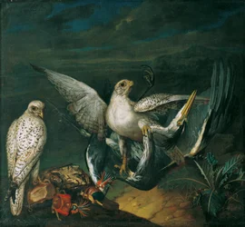 Faucons blancs avec un héron