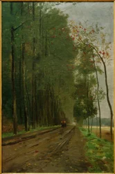 Chaussée au bord de la forêt