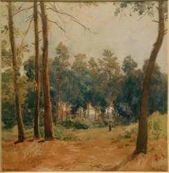 Paysage forestier près de Hartmannshofen