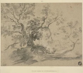 Arbres