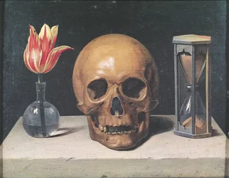 Nature morte de vanité avec une tulipe, un crâne et un sablier