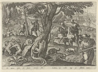 Chasse aux chats sauvages