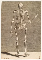 Étude d