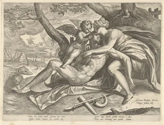 Vénus pleure la mort d