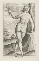 Nymphe de l
