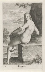 Nymphe de l