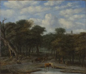 Clairière avec du bétail