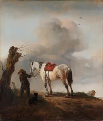 Le cheval blanc. Vers 1646