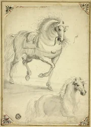 Deux croquis de chevaux au trot