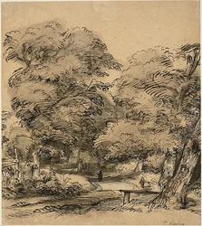 Un chemin dans les bois
