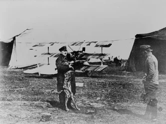 Le Baron Rouge et son chien