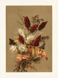 Le sumac et l
