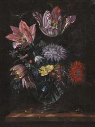 Inconnu, par Jacob Marrel