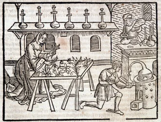 Médecine par les plantes et leurs vertus - dans « Des profits champêtres et ruraux » par Pierre de Crescent, Paris