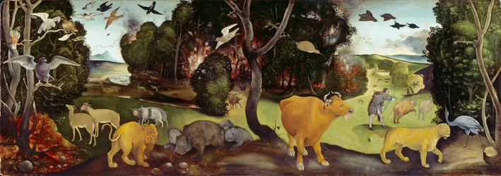 L’incendie de forêt, vers 1505