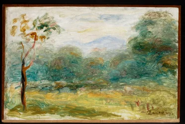 Paysage du sud de la France (Cagnes-sur-Mer)