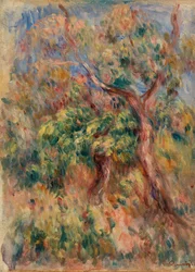 Paysage