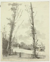 Vue du parc de Versailles : Deux peupliers avec une promenade à balustrade en arrière-plan
