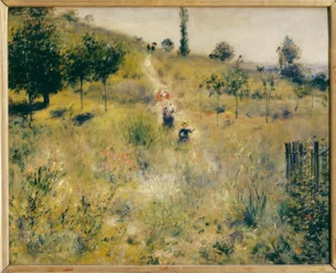 Chemin montant dans les hautes herbes