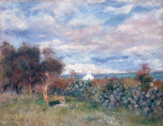 La baie d’Alger