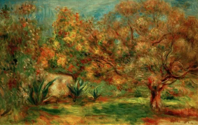 Jardin d